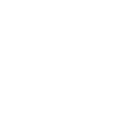 Asset 1184x v2